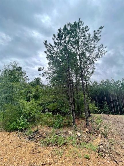 Undeveloped Land in McCurtain County, Oklahoma