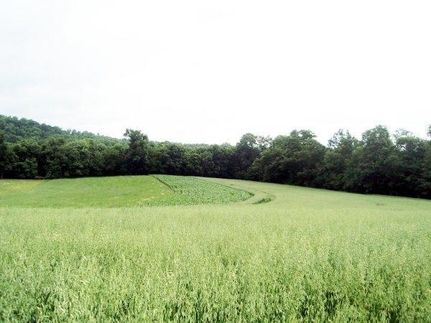 Timberland Property for sale in Armstrong County, Pennsylvania