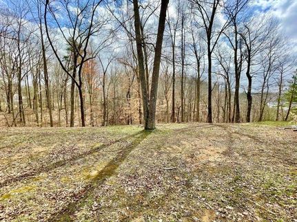 Undeveloped Land for sale in Russell County, Kentucky