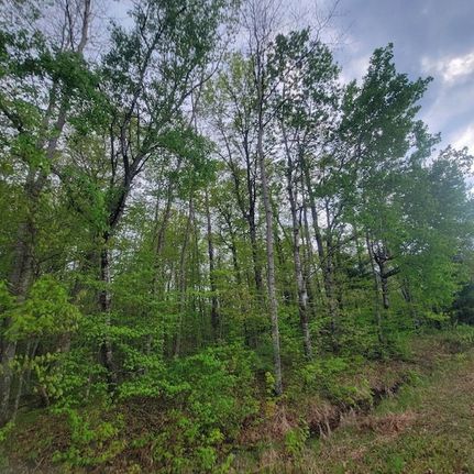 Farm and Ranch for sale in Burnett County, Wisconsin