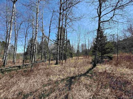 Undeveloped Land for sale in Iron County, Michigan