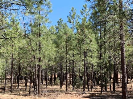 Farm and Ranch for sale in Coconino County, Arizona