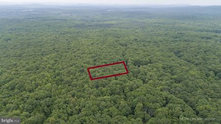 Timberland Property for sale in Garrett County, Maryland