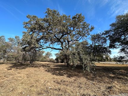 Farm and Ranch for sale in Atascosa County, Texas