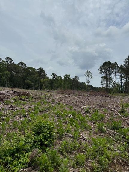 Farm and Ranch for sale in Clark County, Arkansas