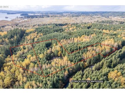 Recreational Property for sale in Cowlitz County, Washington