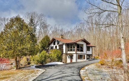 Undeveloped Land for sale in Greene County, New York