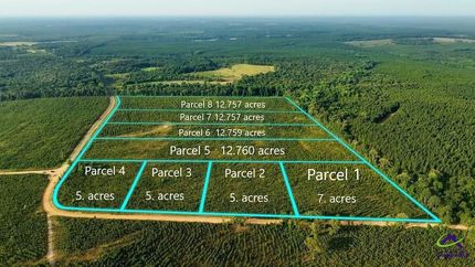 Undeveloped Land for sale in Taylor County, Georgia