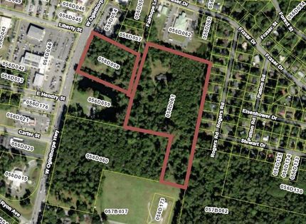 Undeveloped Land for sale in Liberty County, Georgia