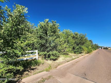 Farm and Ranch for sale in Navajo County, Arizona
