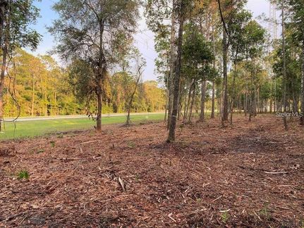 Farm and Ranch for sale in Flagler County, Florida