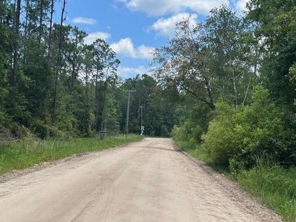 Undeveloped Land for sale in Madison County, Florida