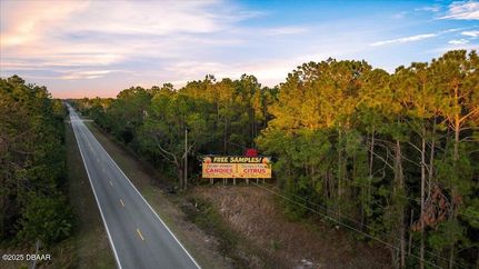 Undeveloped Land for sale in Volusia County, Florida
