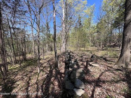 Timberland Property for sale in Ulster County, New York