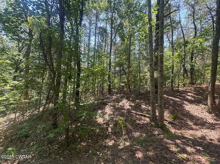 Farm and Ranch for sale in Hardeman County, Tennessee