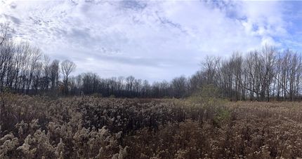 Undeveloped Land for sale in Delaware County, New York
