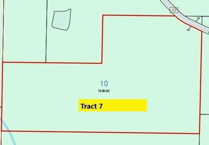 Undeveloped Land for sale in Randolph County, Alabama