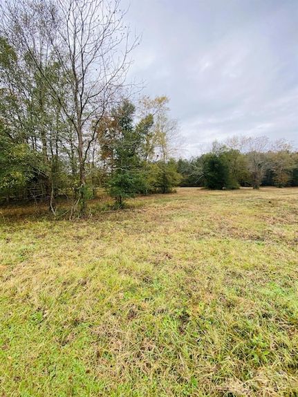 Undeveloped Land for sale in Aiken County, South Carolina