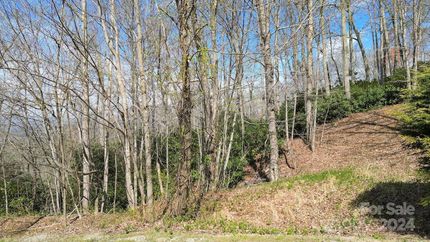 Recreational Property for sale in Henderson County, North Carolina