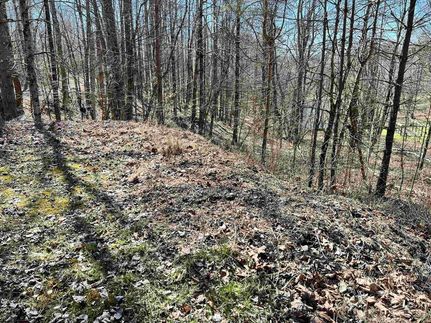 Land for sale in Randolph County, West Virginia