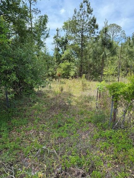 Farm and Ranch for sale in Taylor County, Florida