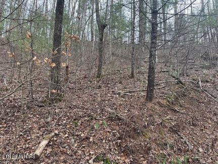 Farm and Ranch for sale in Blount County, Tennessee