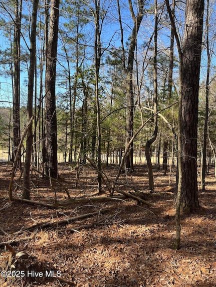 Timberland Property for sale in Moore County, North Carolina