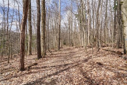 Recreational Property for sale in Geauga County, Ohio