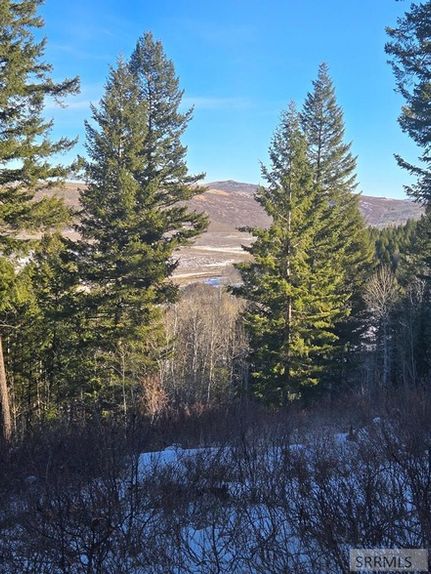 Farm and Ranch for sale in Bingham County, Idaho