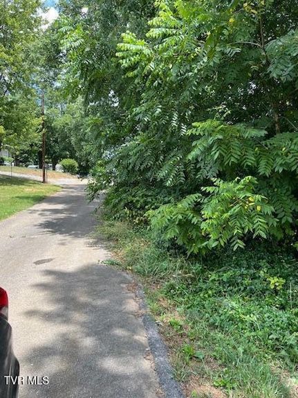 Oceanfront Property for sale in Greene County, Tennessee