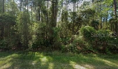 Recreational Property for sale in Putnam County, Florida