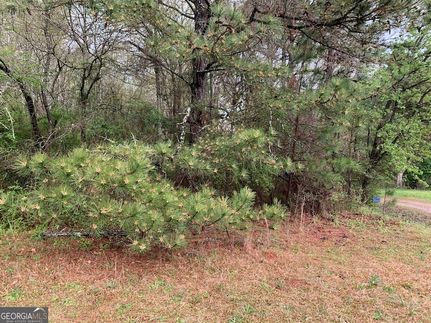Recreational Property for sale in Oconee County, Georgia