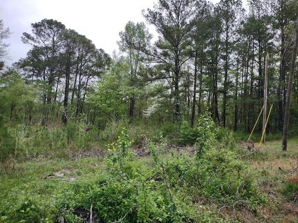 Farm and Ranch for sale in Walker County, Georgia