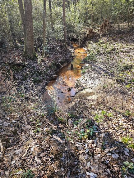 Recreational Property for sale in Dale County, Alabama