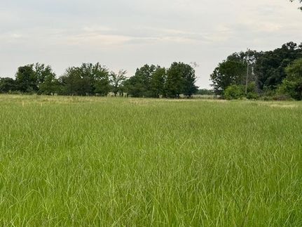 Undeveloped Land for sale in Henderson County, Texas
