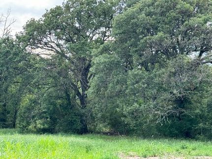 Homesite for sale in Henderson County, Texas