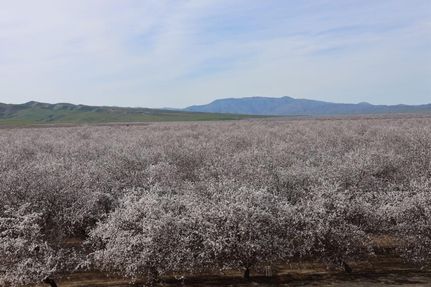 Farm and Ranch for sale in Fresno County, California