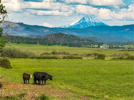 Undeveloped Land for sale in Jackson County, Oregon