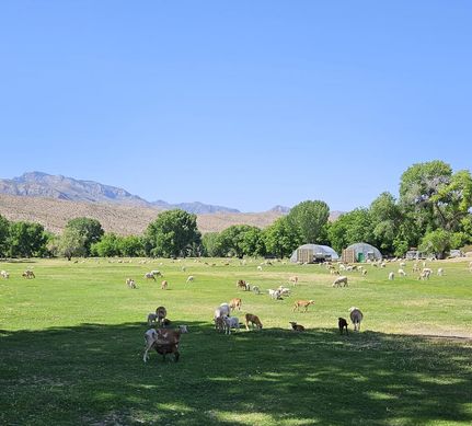 Recreational Property for sale in Lincoln County, Nevada
