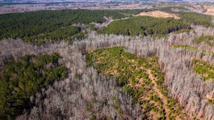 Timberland Property for sale in Chester County, Tennessee