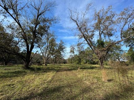 Undeveloped Land for sale in Orangeburg County, South Carolina