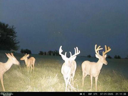Farm and Ranch for sale in Grant County, Oklahoma