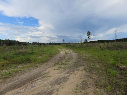 Farm and Ranch for sale in Geneva County, Alabama