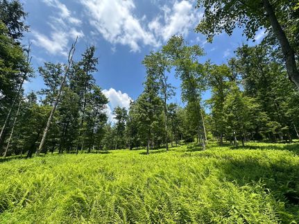 Farm and Ranch for sale in Centre County, Pennsylvania