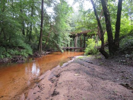 Timberland Property for sale in Geneva County, Alabama