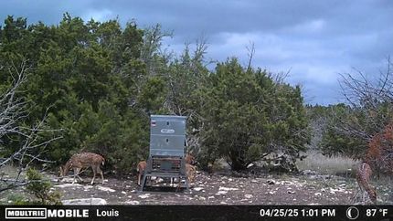 Hunting Property in Edwards County, Texas