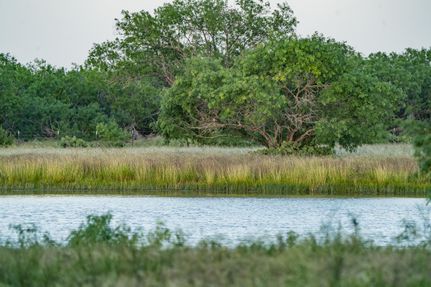 Farm and Ranch for sale in Bee County, Texas