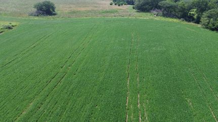 Farm and Ranch for sale in Lucas County, Iowa