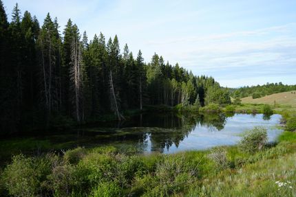 Land for sale in Teller County, Colorado