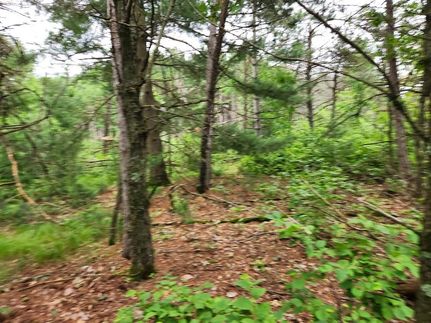 Recreational Property for sale in Juneau County, Wisconsin